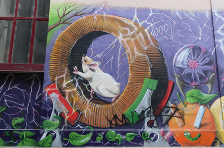 Cliquer pour agrandir l'image