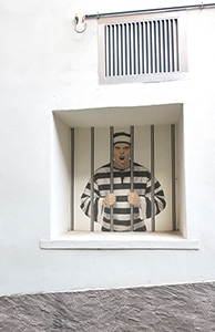 Cliquer pour agrandir l'image