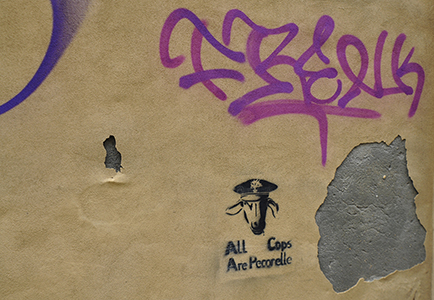 Cliquer pour agrandir l'image