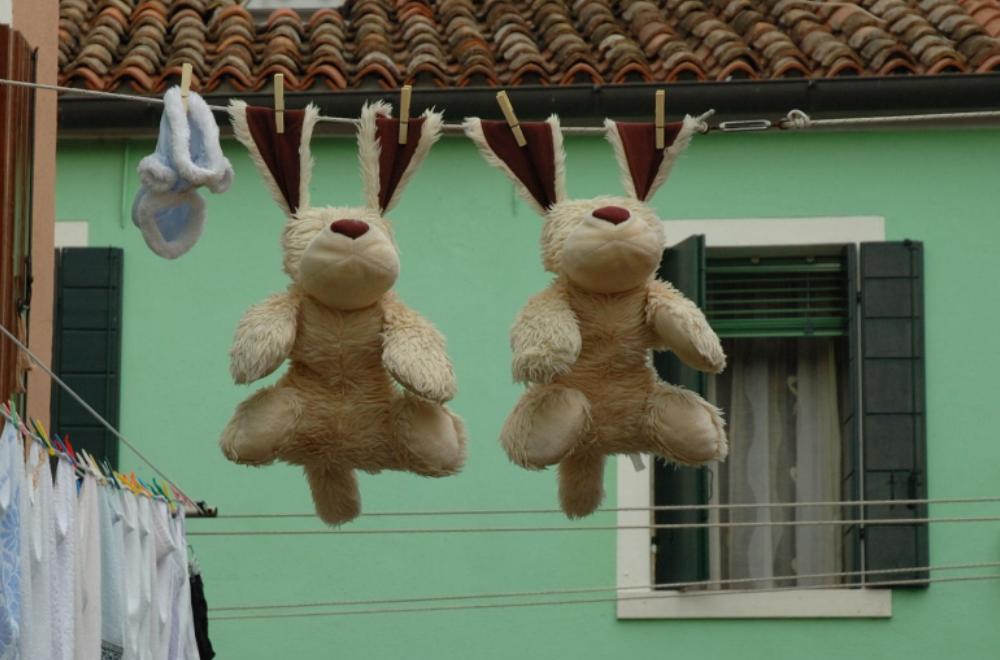 Cliquer pour agrandir l'image