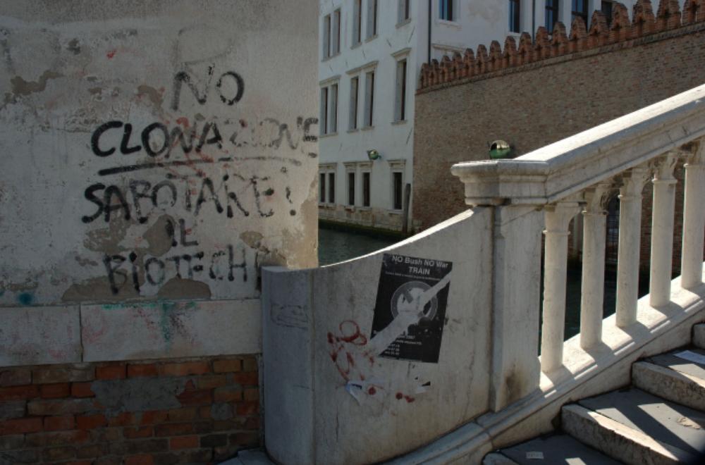 Cliquer pour agrandir l'image