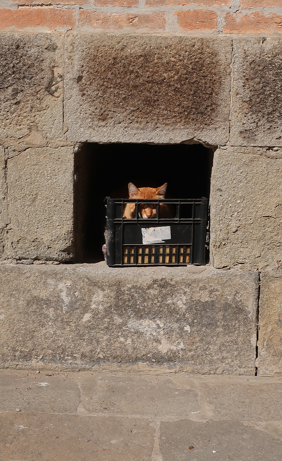 Cliquer pour agrandir l'image